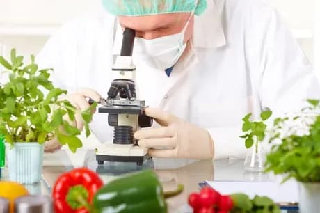 QC/QA AN TOÀN THỰC PHẨM 