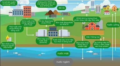 “HÓA CHẤT VĨNH CỬU” (PFAS): MỐI NGUY TOÀN CẦU VÀ CẢNH BÁO CHO VIỆT NAM